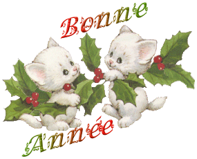 bonne année